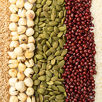 granule