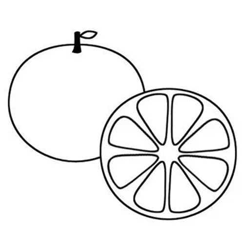 fruit