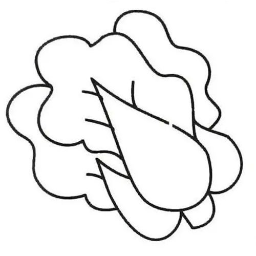 vegetable