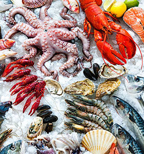 seafood